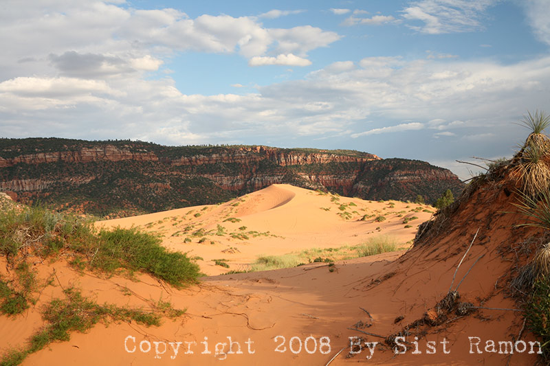 IMG_6757.jpg