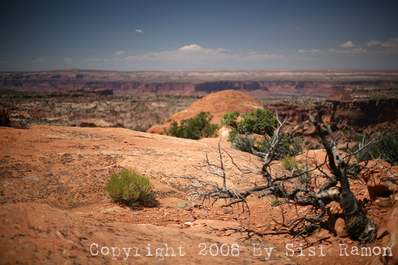 IMG_7152.jpg