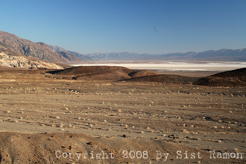 IMG_7334.jpg