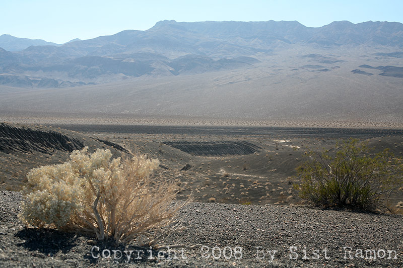 IMG_7387.jpg