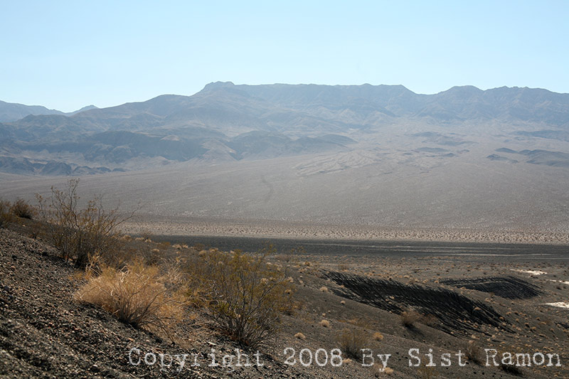 IMG_7392.jpg