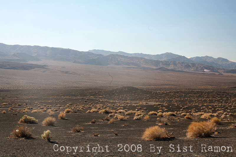 IMG_7404.jpg