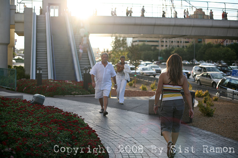 IMG_7501.jpg