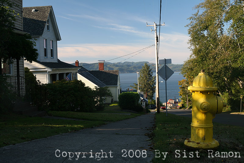 IMG_8515.jpg