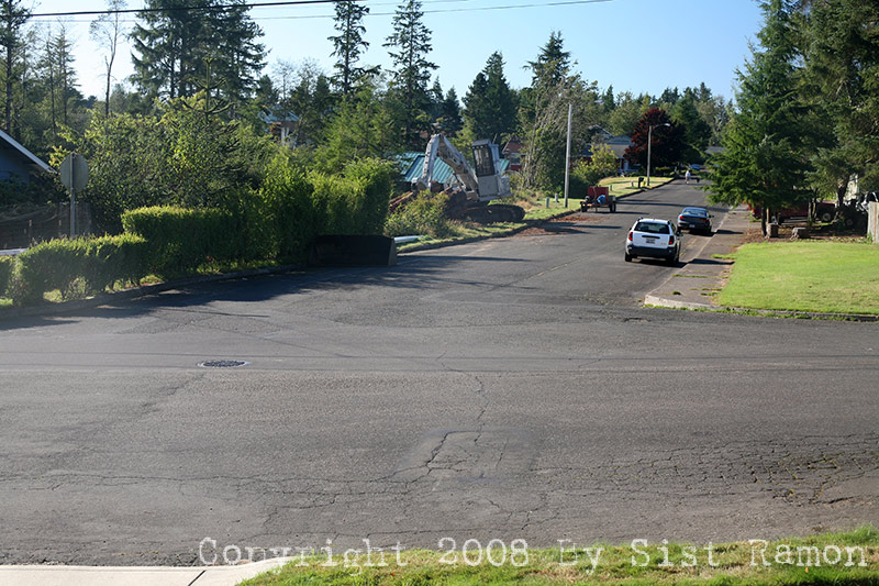 IMG_8548.jpg
