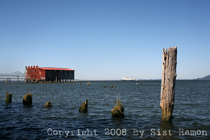 IMG_8603.jpg