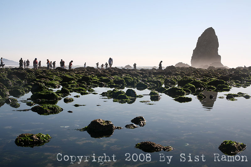 IMG_8641.jpg
