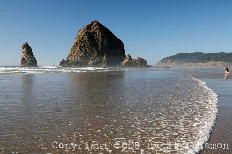 IMG_8651.jpg