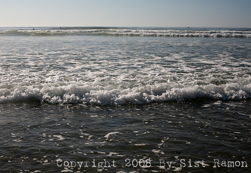 IMG_8652.jpg