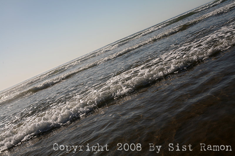 IMG_8656.jpg