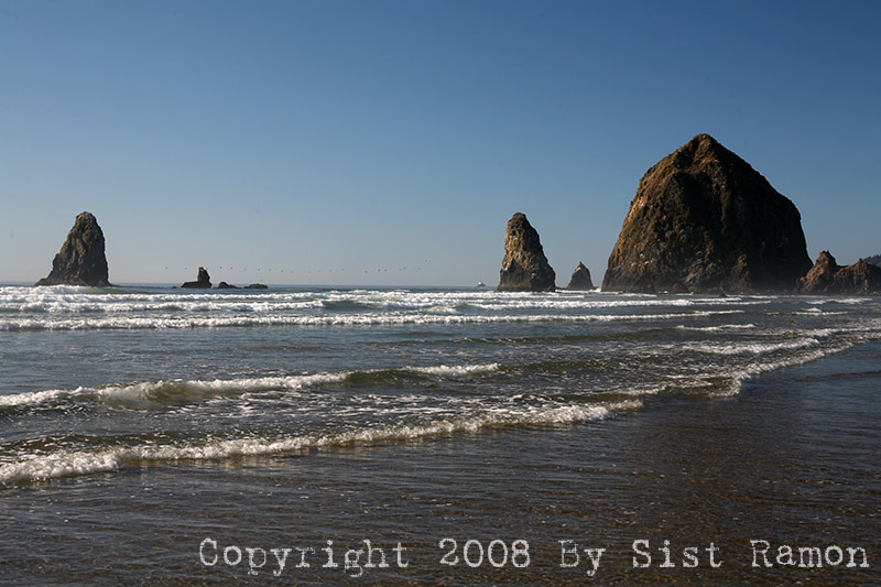 IMG_8658.jpg