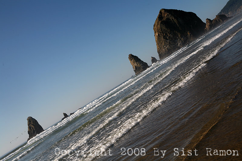 IMG_8660.jpg