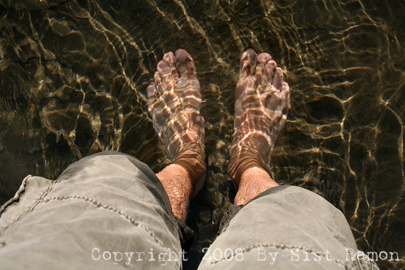 IMG_8668.jpg