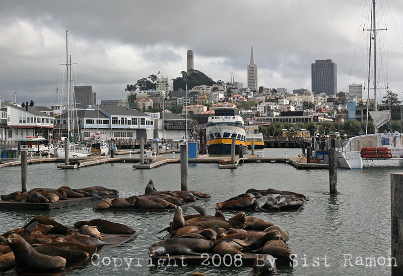IMG_8974.jpg