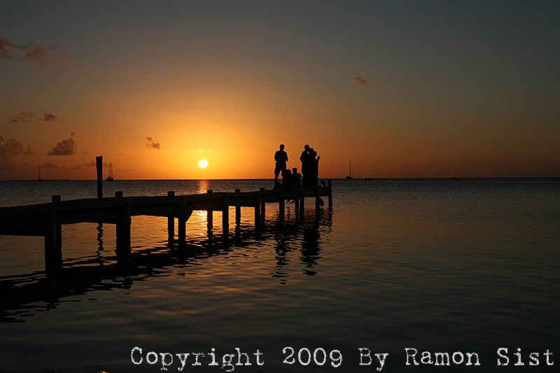 IMG_1354.jpg
