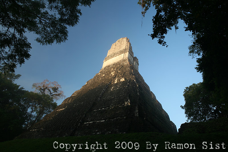 IMG_1393.jpg