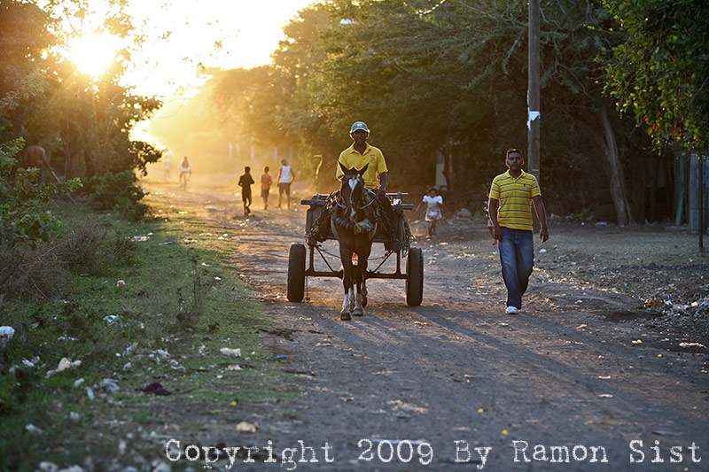 IMG_1857.jpg