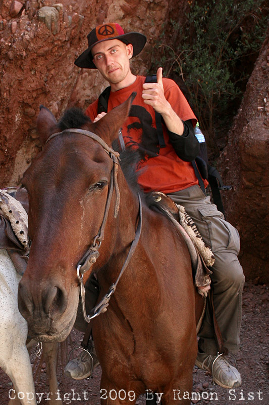 cow-boy.jpg