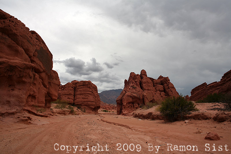 IMG_3392.jpg