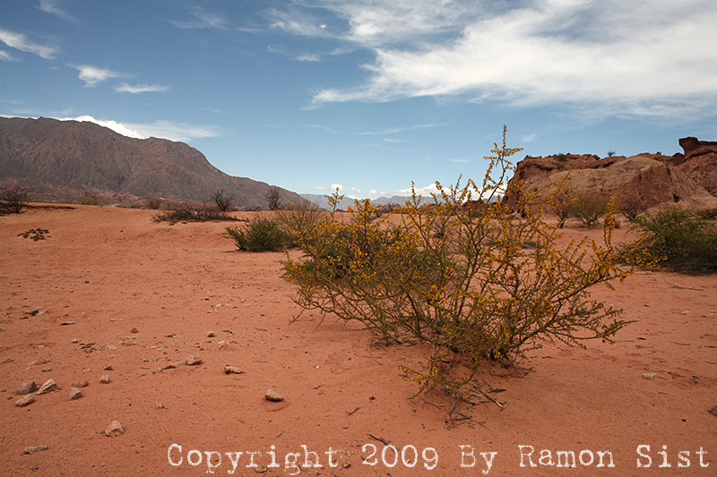 IMG_3400.jpg