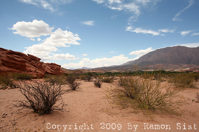IMG_3402.jpg