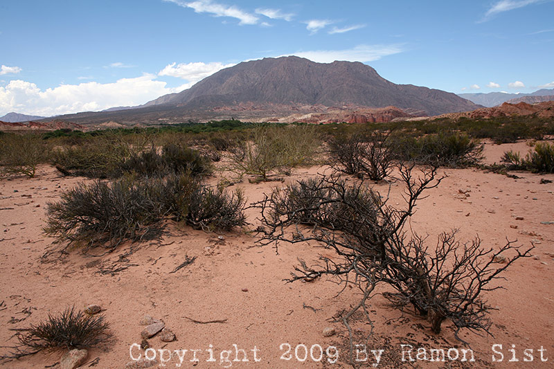 IMG_3405.jpg