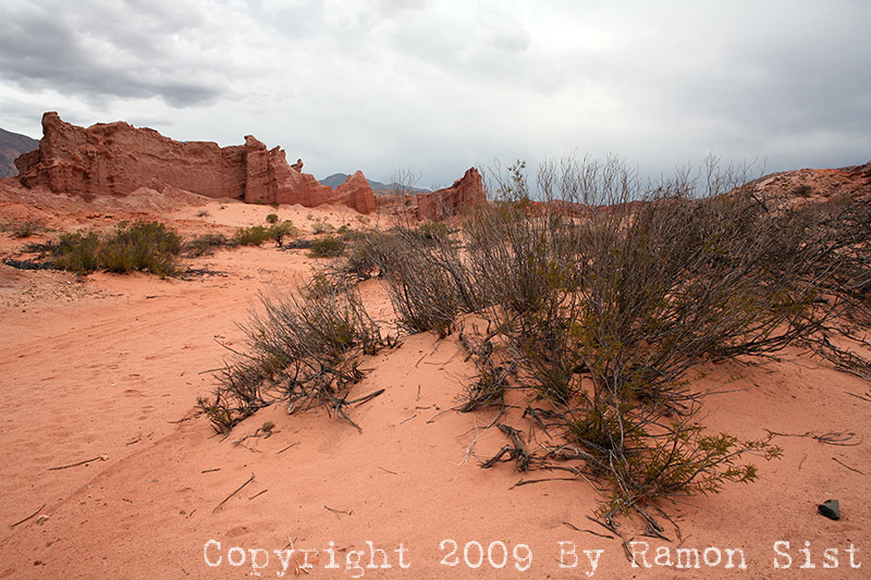 IMG_3411.jpg