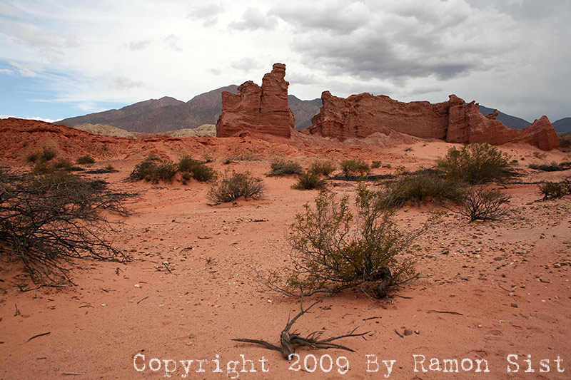 IMG_3412.jpg