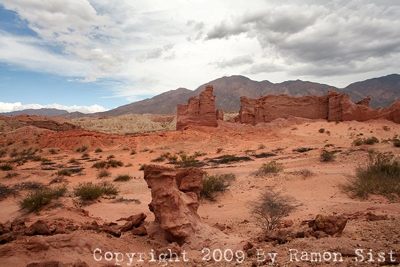 IMG_3414.jpg