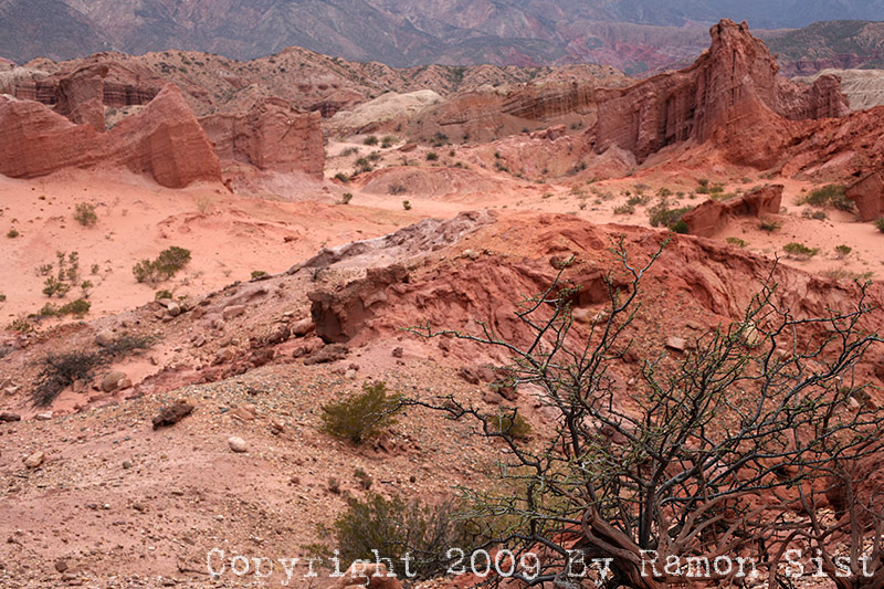 IMG_3420.jpg
