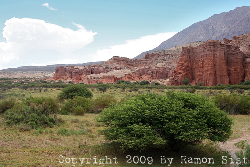 IMG_3431.jpg