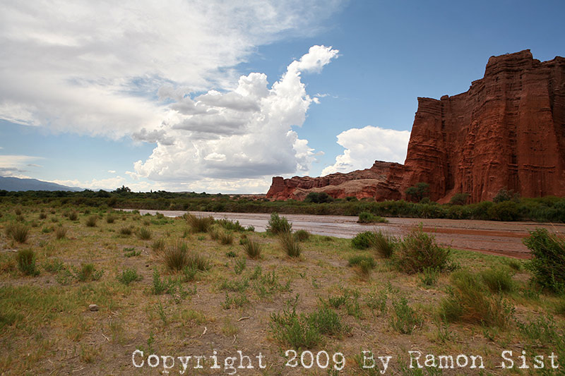 IMG_3438.jpg