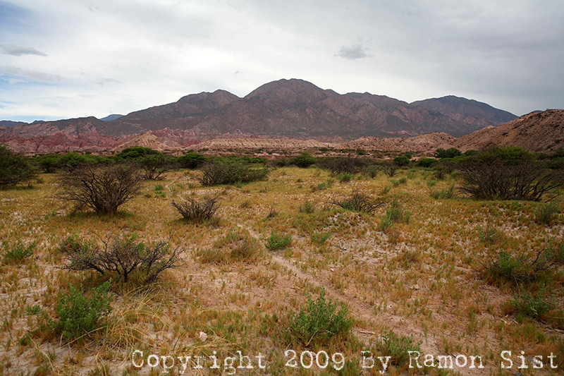 IMG_3441.jpg
