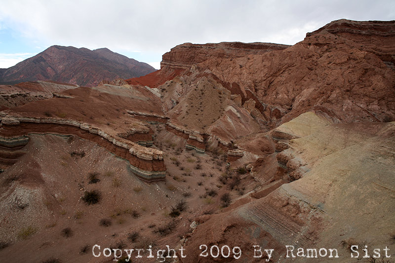 IMG_3447.jpg