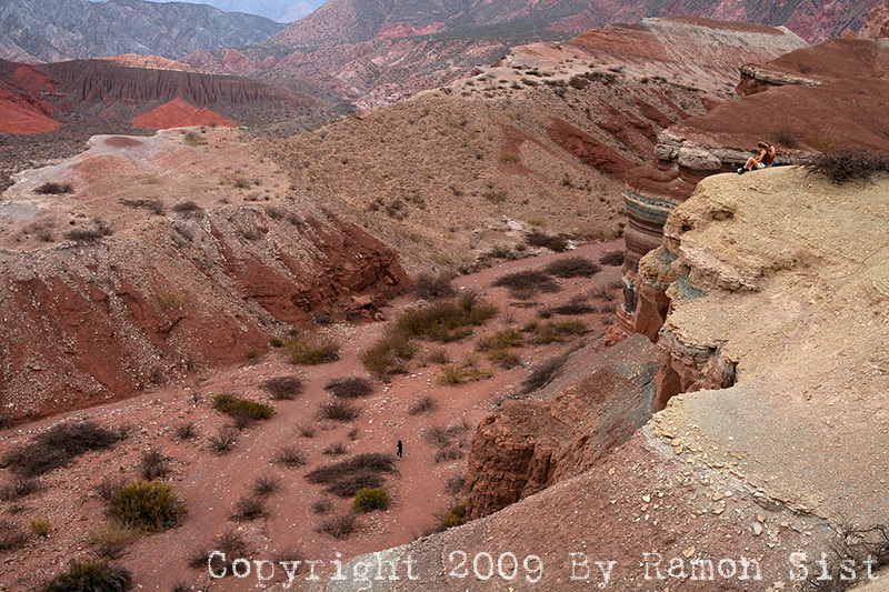IMG_3453.jpg