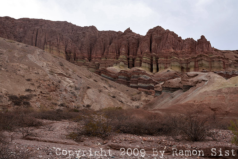IMG_3461.jpg