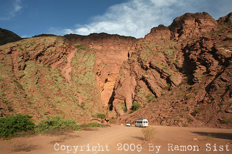 IMG_3495.jpg