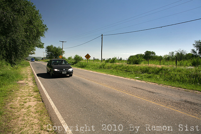 IMG_3502.jpg