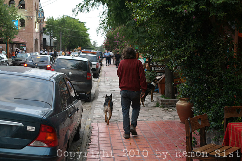 IMG_3522.jpg
