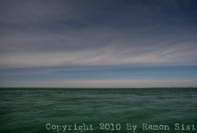 IMG_4512.jpg