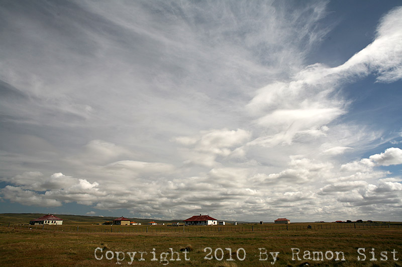 IMG_4516.jpg