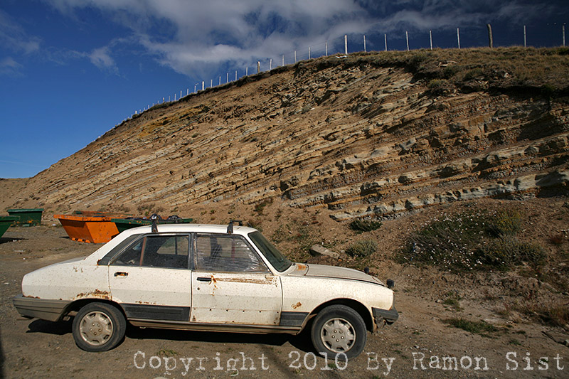 IMG_4526.jpg