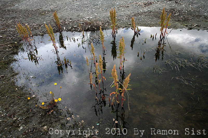 IMG_4576.jpg