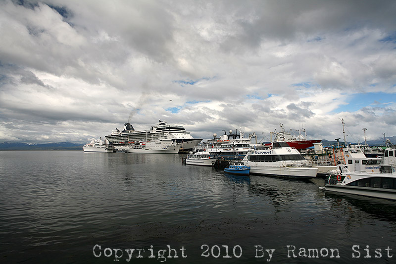 IMG_4597.jpg