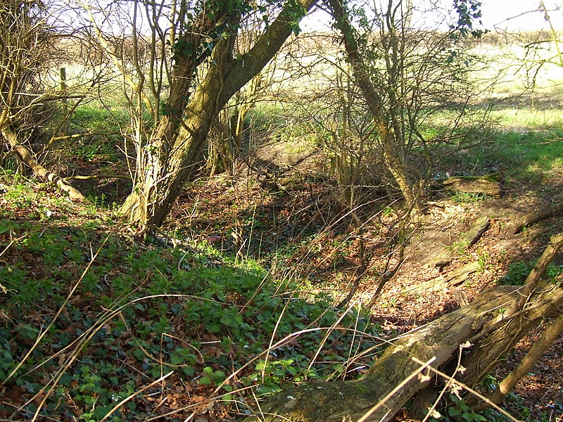 Brent Pelham castle mound and ditch.