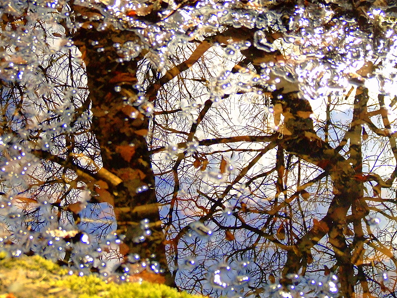 Reflections