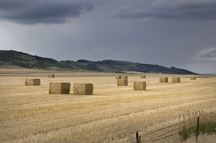More Bales
