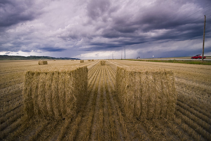 Rocky Mountain Hay