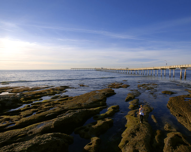 Ocean Beach Pier