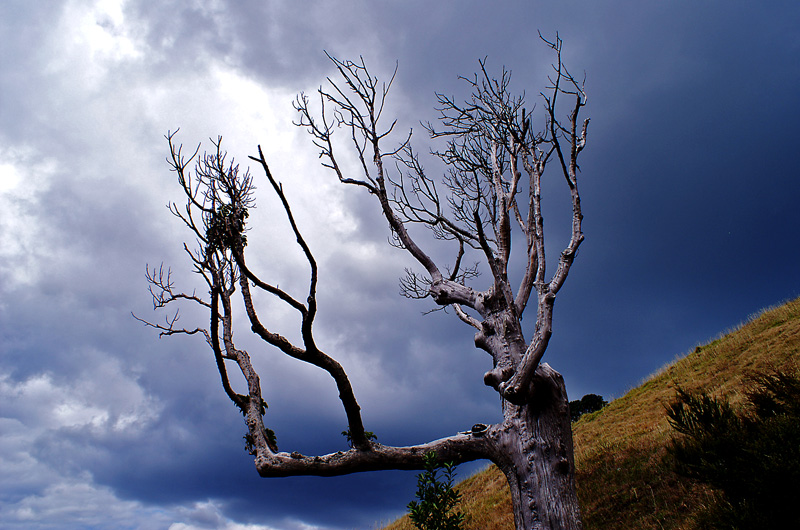 Reaching for the Sun